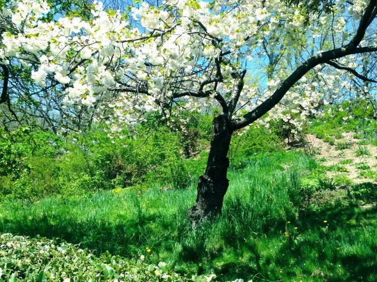 IMG_3621.JPG?type=w2