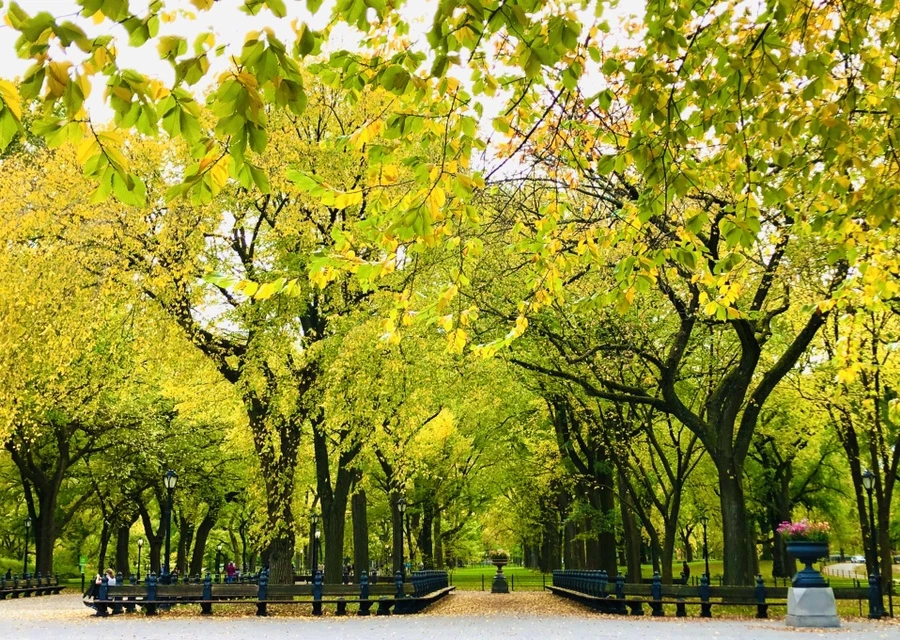 IMG_3067.jpg?type=w966