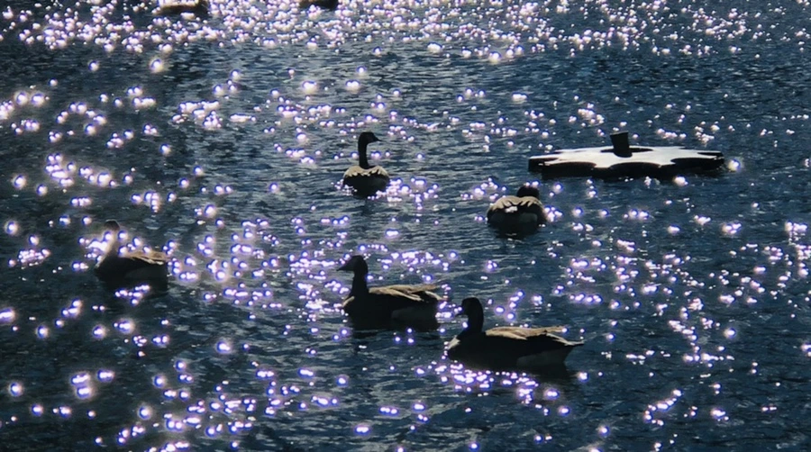 IMG_9190.jpg?type=w966