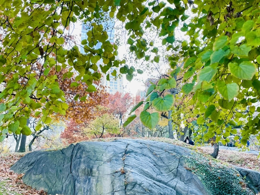 IMG_5063.jpg?type=w966