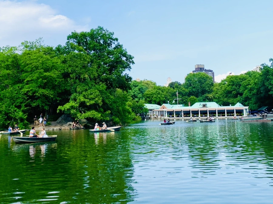 IMG_0645.jpg?type=w966