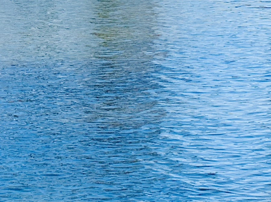 IMG_9886.jpg?type=w966