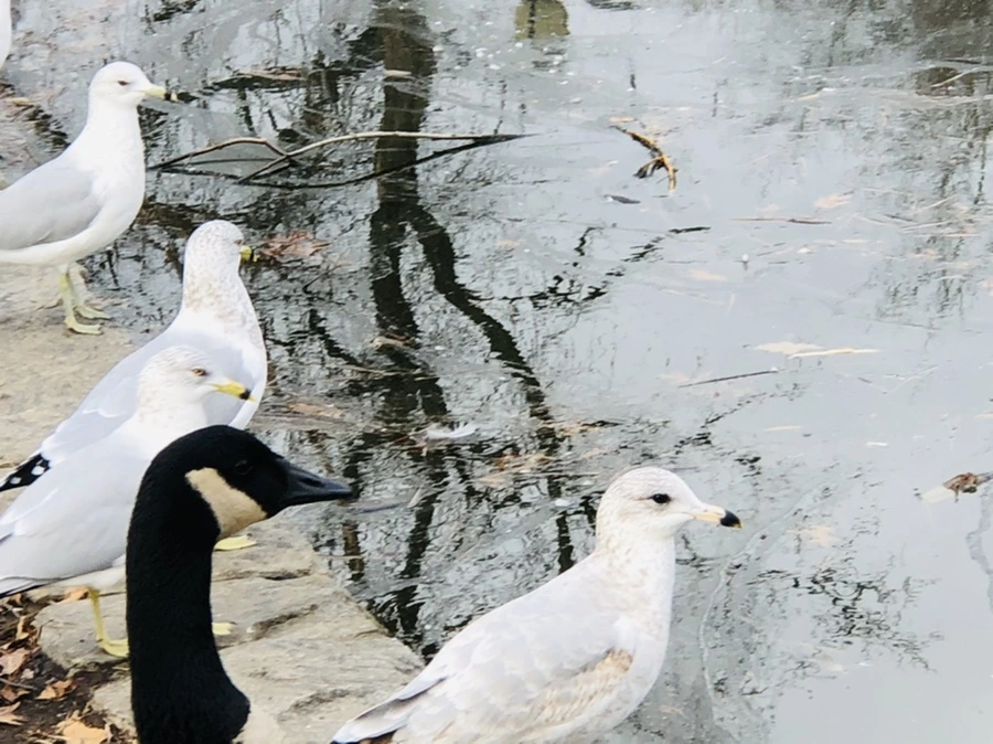 IMG_0023.jpg?type=w966