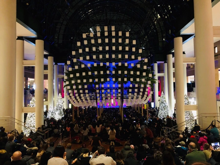 IMG_8186.jpg?type=w966