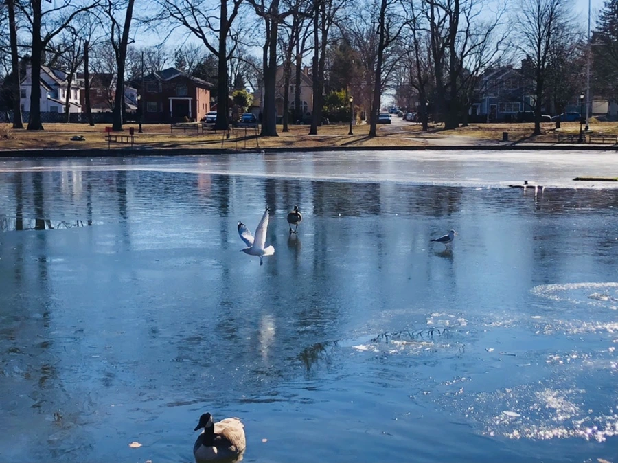 IMG_8046.jpg?type=w966