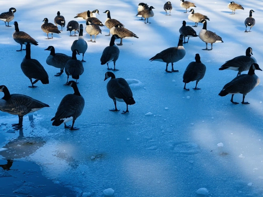 IMG_9925.jpg?type=w966