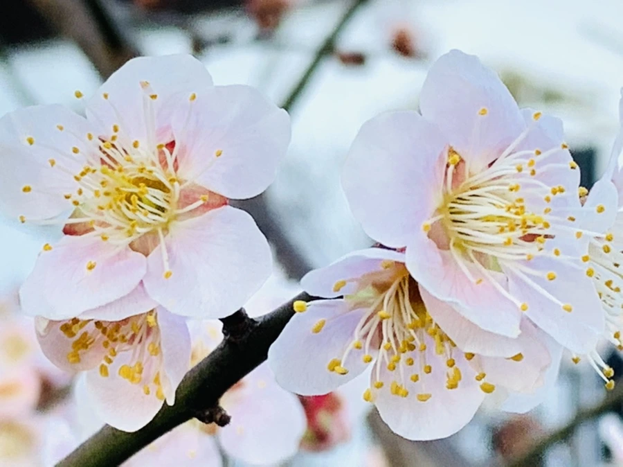 IMG_0853.jpg?type=w966