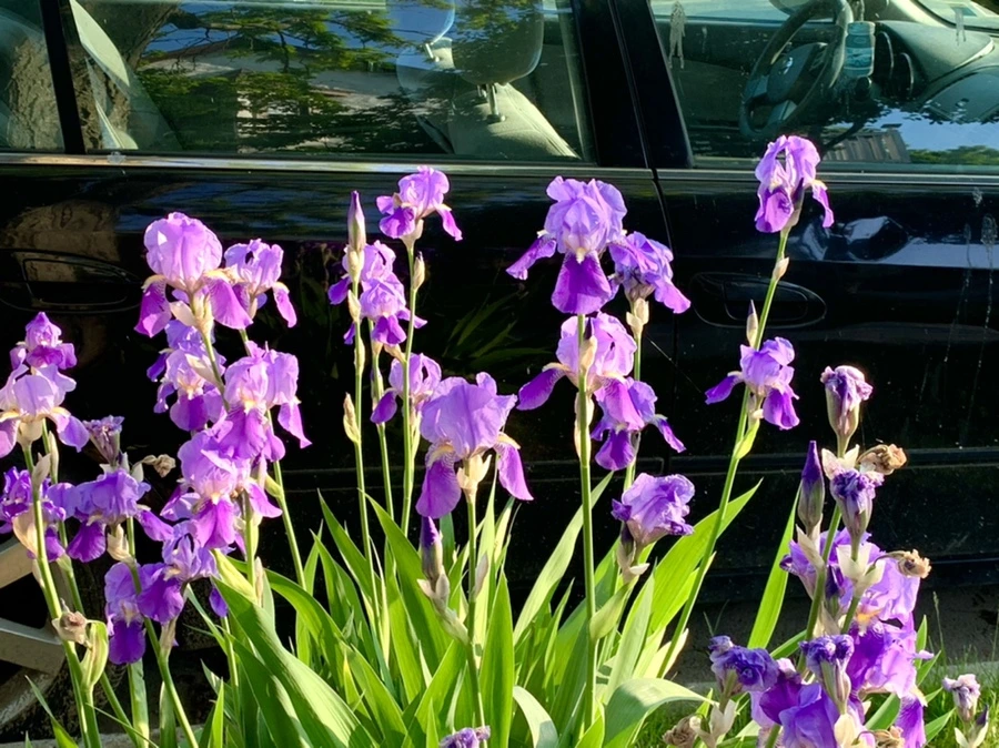 IMG_3451.jpg?type=w966