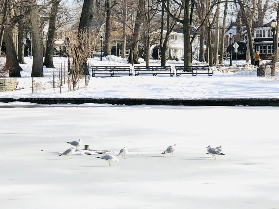 IMG_0170.jpg?type=w966