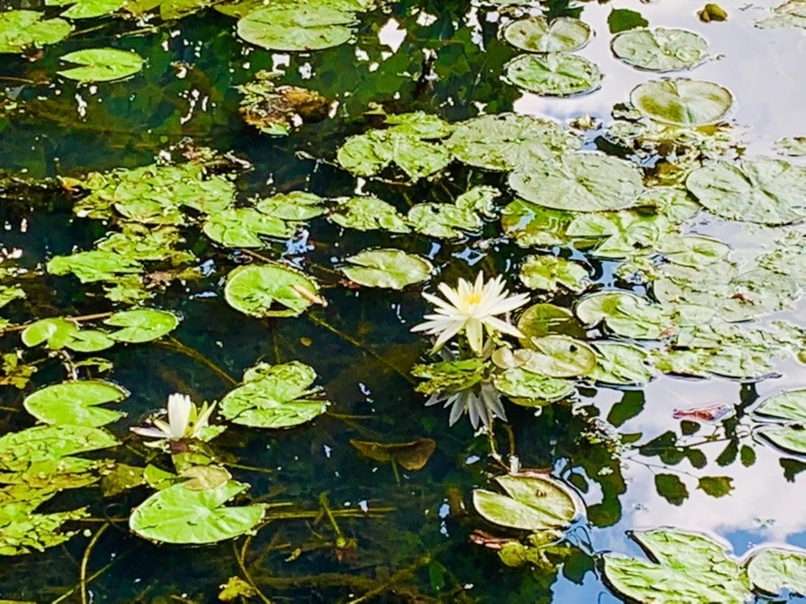 Pe6Y1hZ57Jnh0iR0MVJfXRoHmTs