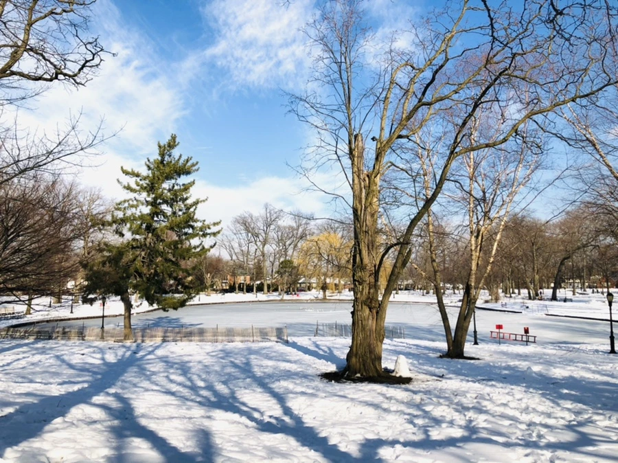 IMG_0365.jpg?type=w966