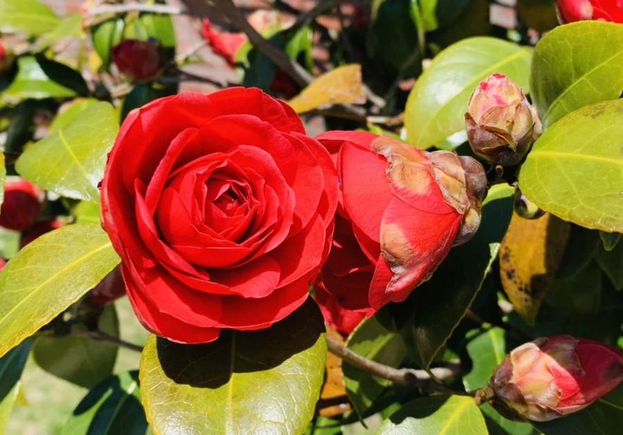 IMG_7758.jpg?type=w966