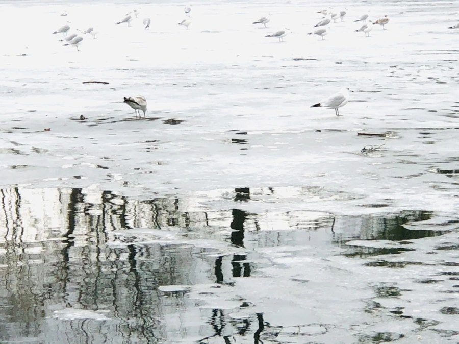 IMG_6414.jpg?type=w966