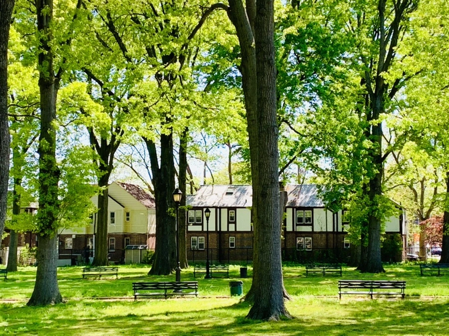 IMG_1899.jpg?type=w966