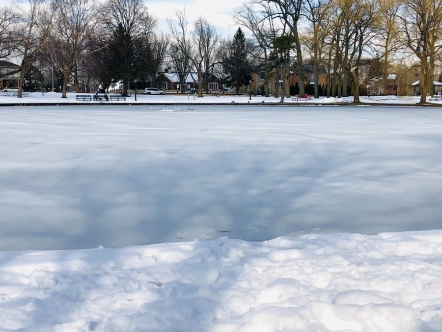 IMG_0130.jpg?type=w966