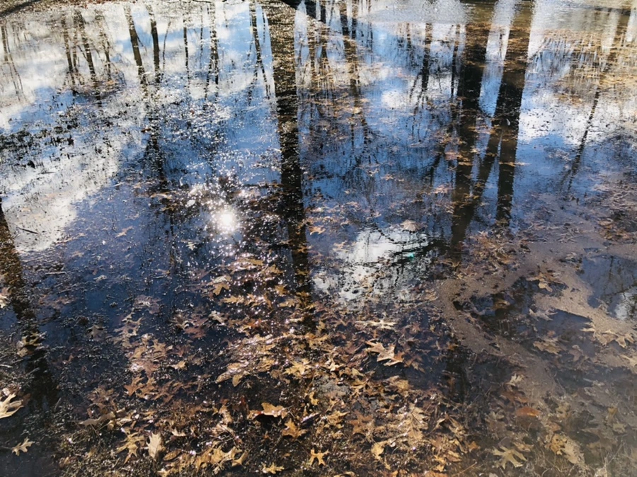 IMG_9217.jpg?type=w966