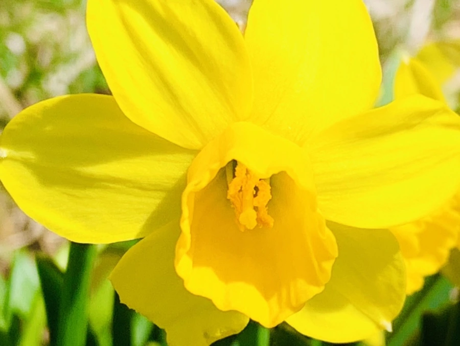 IMG_3416.jpg?type=w966