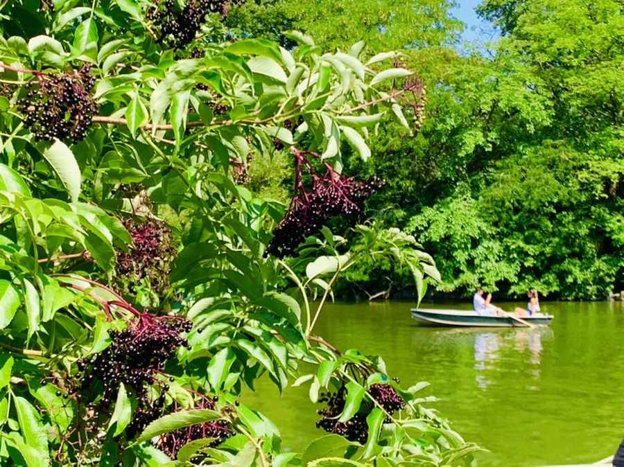 IMG_4490.jpg?type=w966