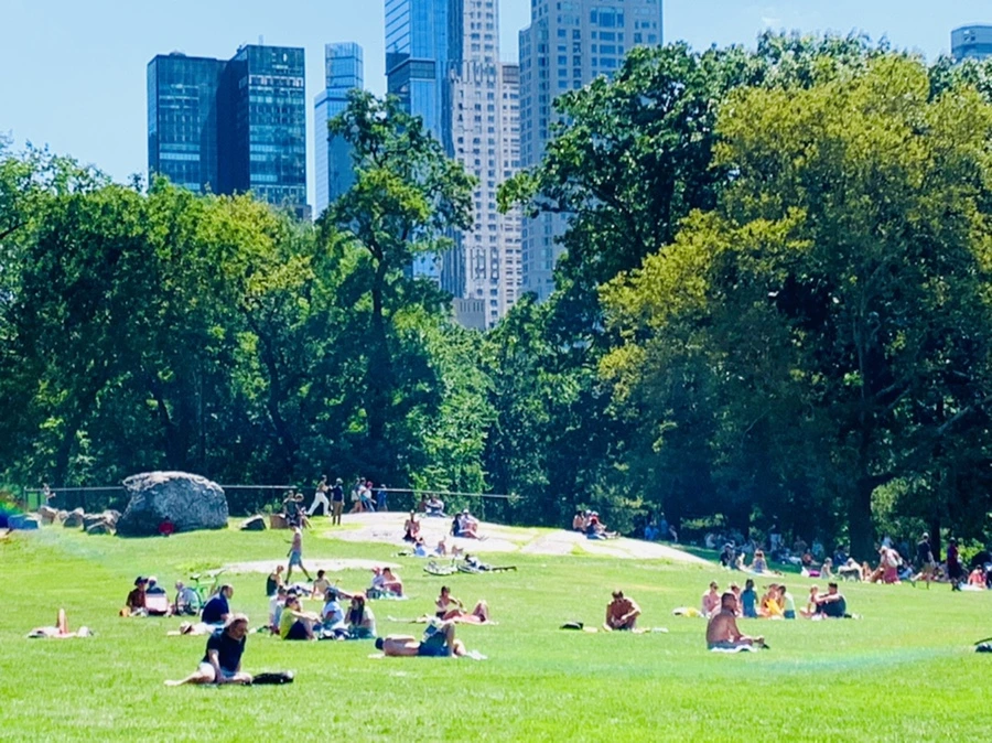 IMG_4370.jpg?type=w966