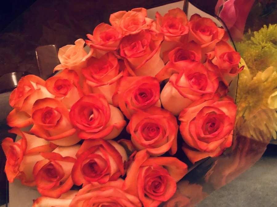 IMG_5612.jpg?type=w966