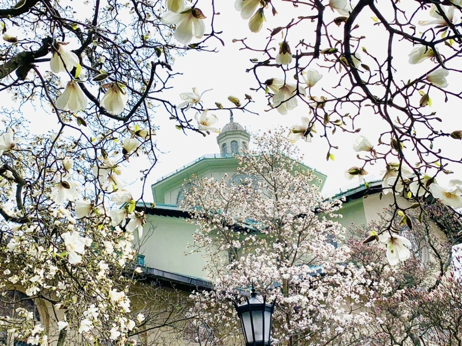 IMG_7158.jpg?type=w966