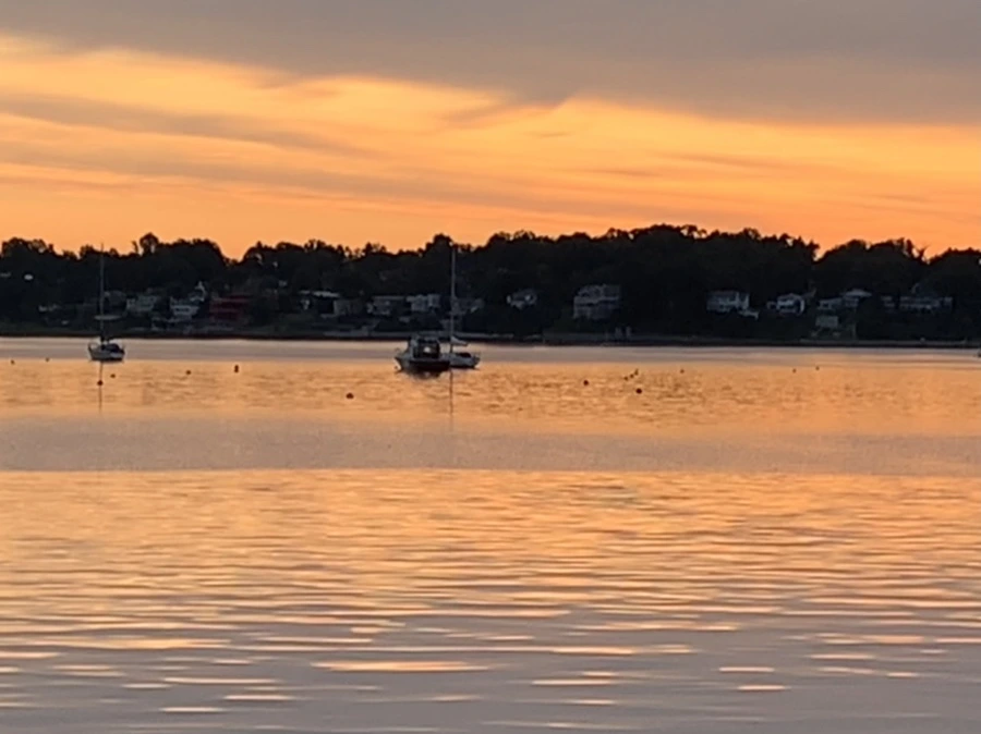 IMG_5899.jpg?type=w966