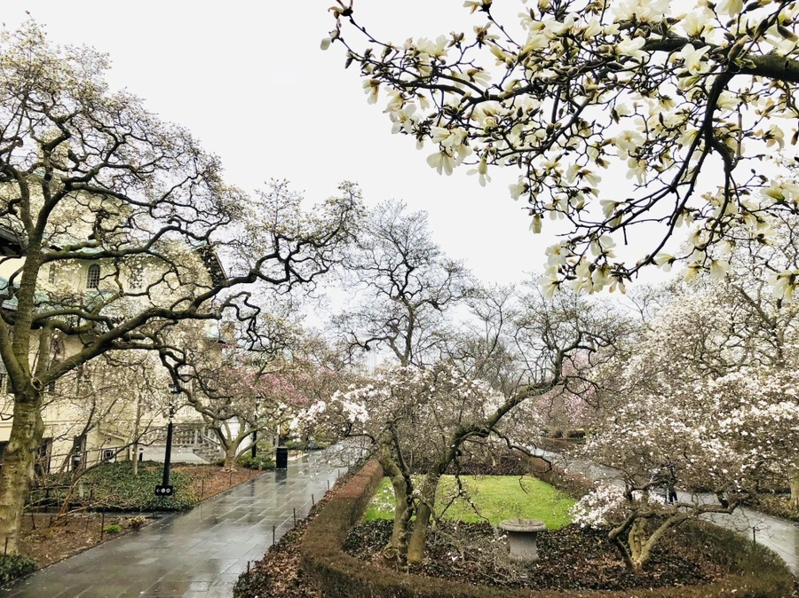 IMG_2323.jpg?type=w966