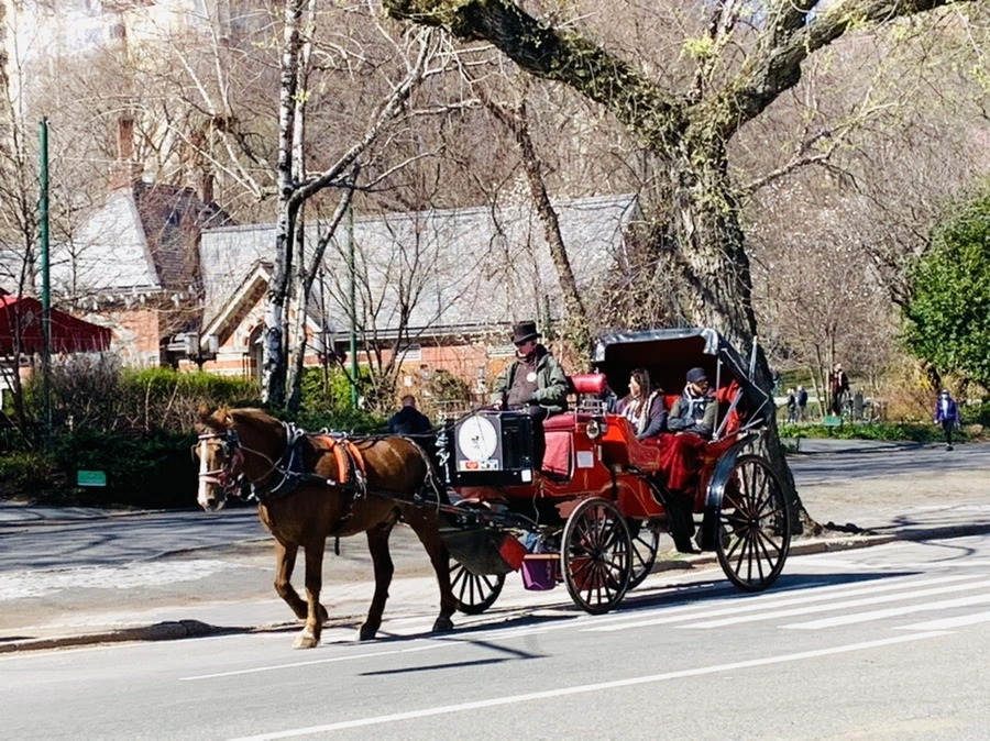 IMG_6847.jpg?type=w966