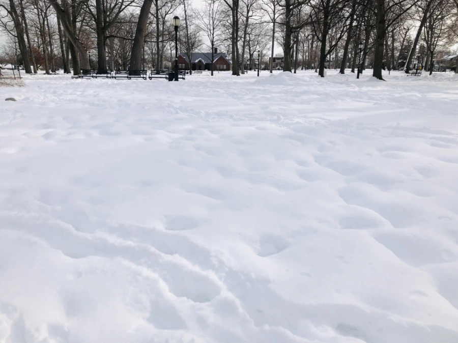 IMG_1665.jpg?type=w966