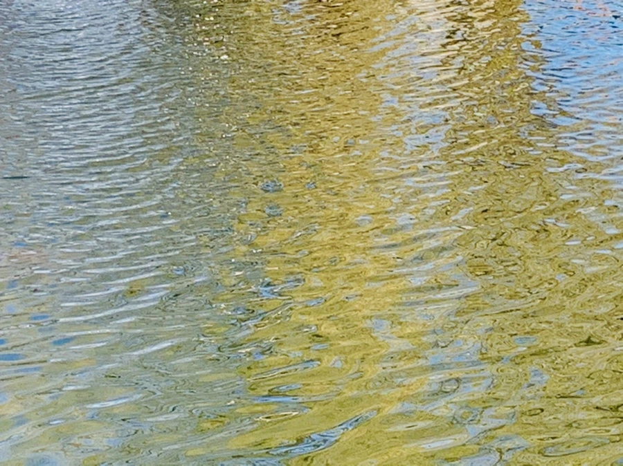 IMG_0635.jpg?type=w966