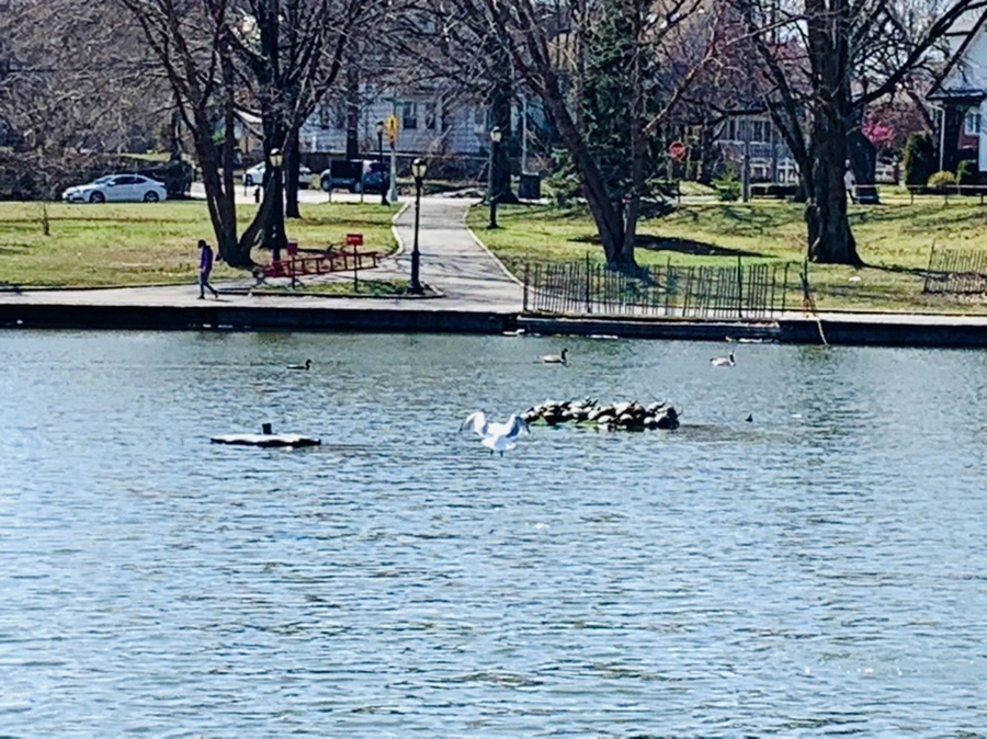 IMG_4460.jpg?type=w966