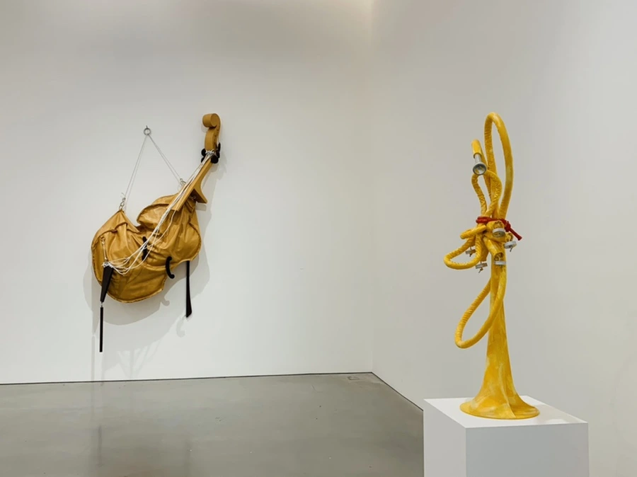 IMG_0805.jpg?type=w966