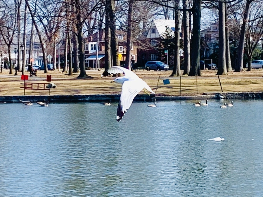 IMG_0044.jpg?type=w966