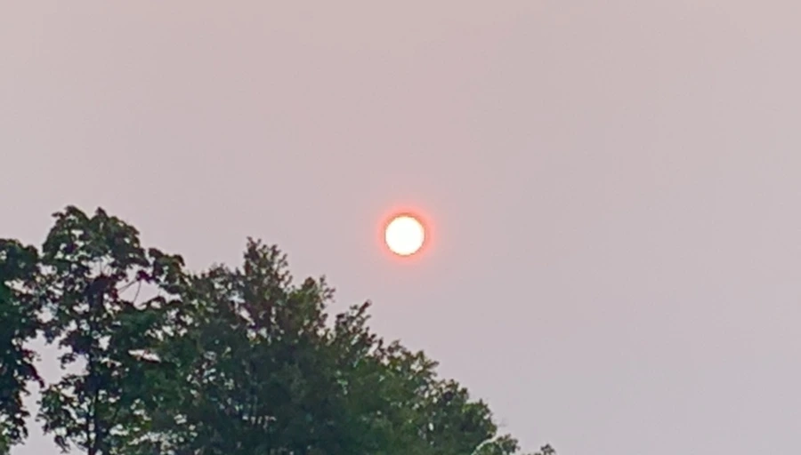 IMG_8045.jpg?type=w966