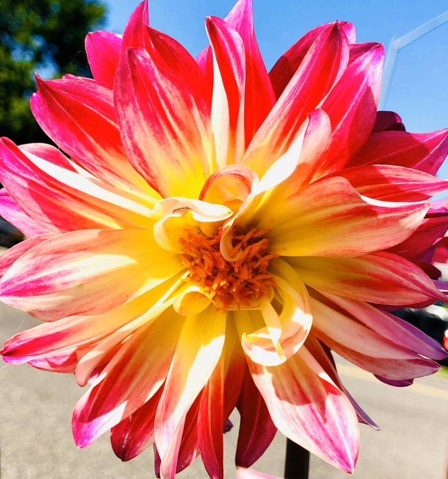 IMG_8688.jpg?type=w966