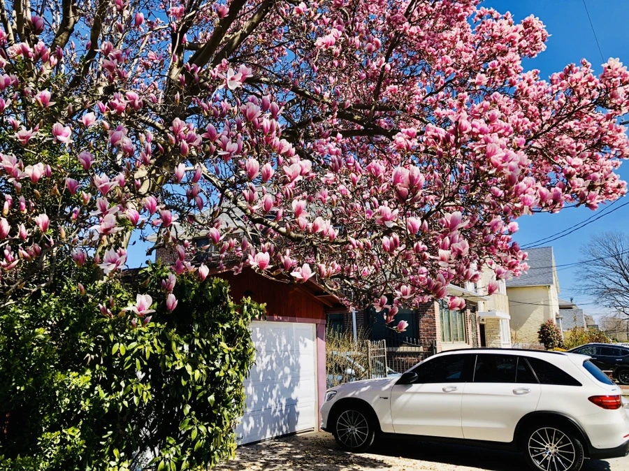 IMG_6554.jpg?type=w966