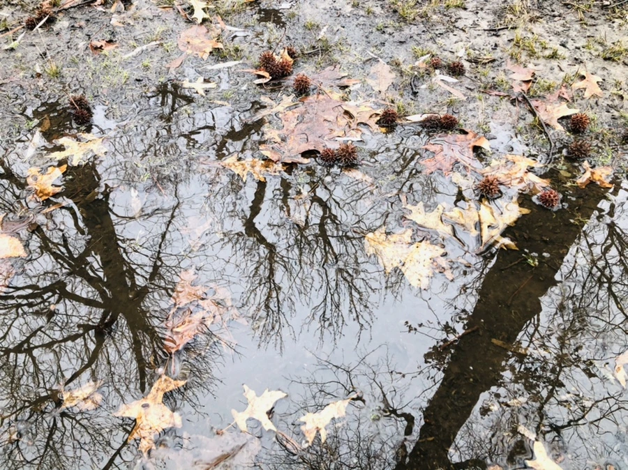 IMG_9538.jpg?type=w966