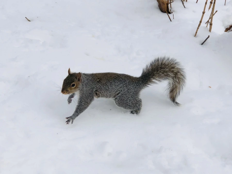 IMG_9407.jpg?type=w966