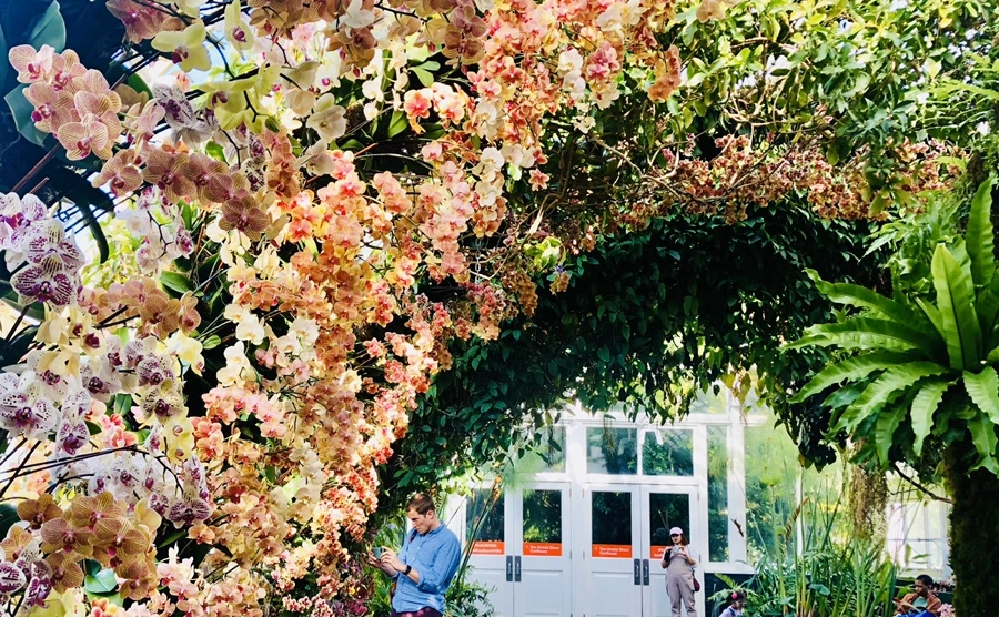 IMG_6265.jpg?type=w966