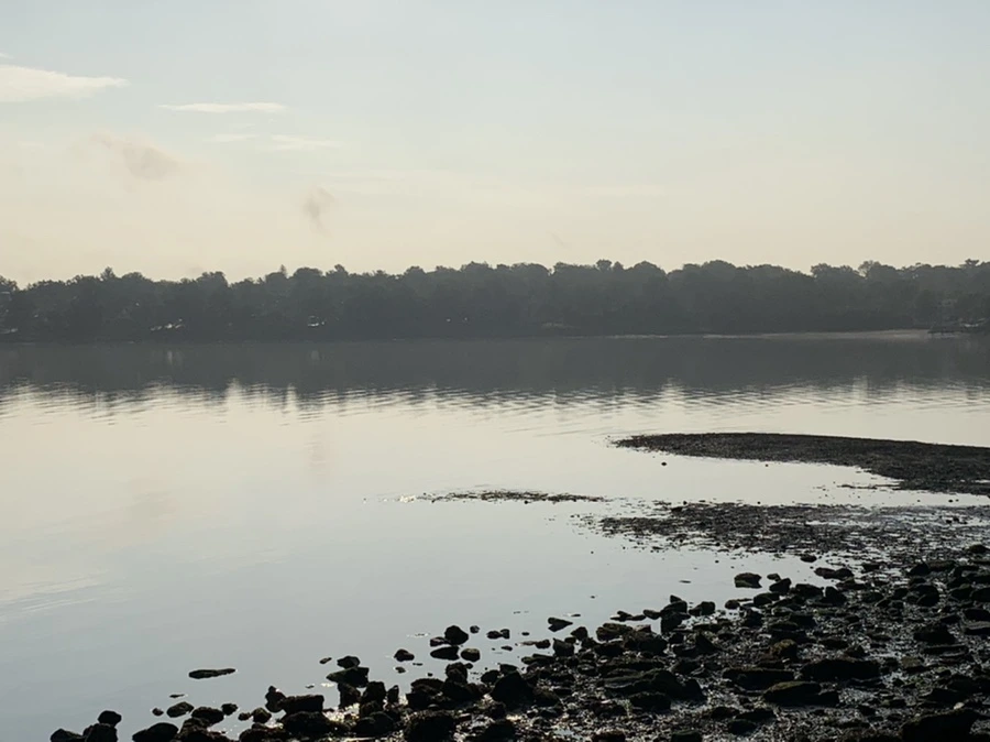 IMG_4349.jpg?type=w966