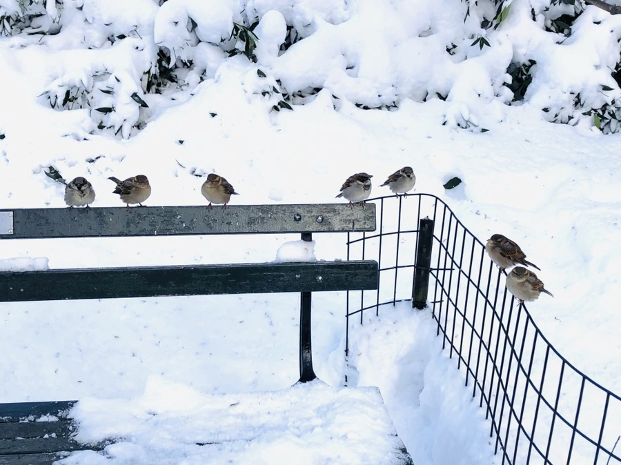 IMG_7200.jpg?type=w966