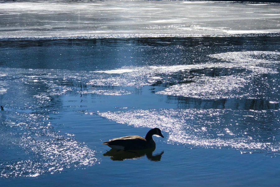 IMG_7703.jpg?type=w966