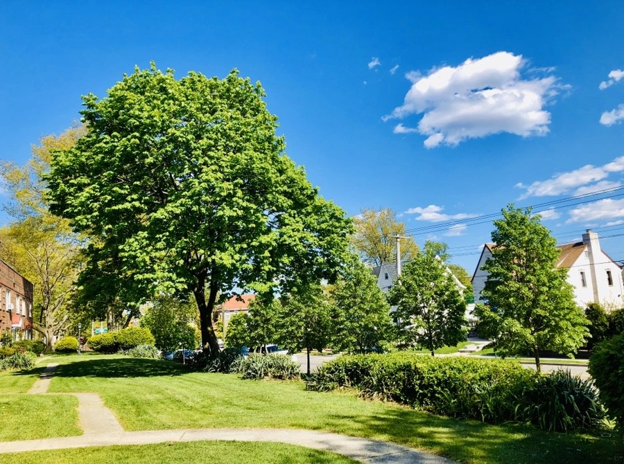 Eh5FK8rpyEt_6oPzB3CVnR3DboQ