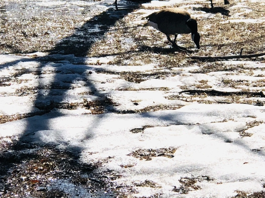 IMG_4641.jpg?type=w966