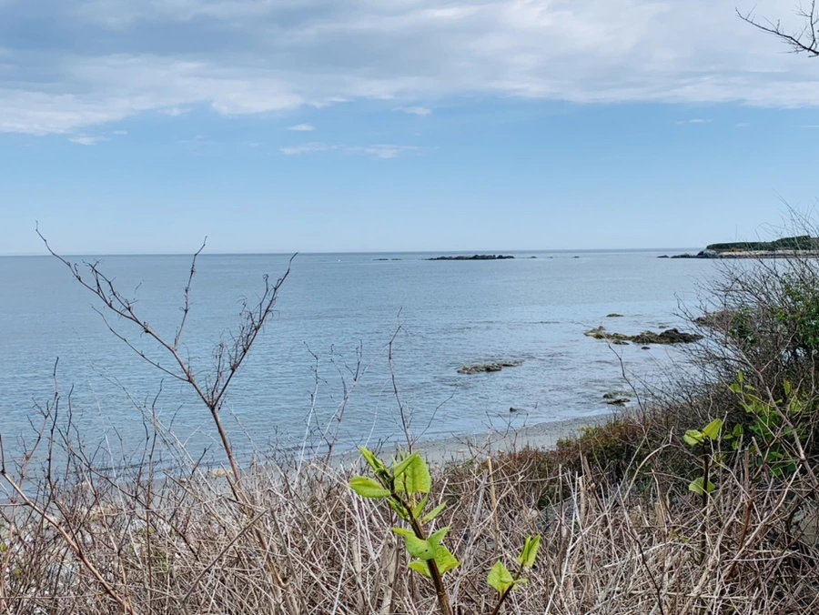 IMG_2739.jpg?type=w966