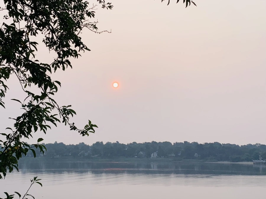 IMG_8361.jpg?type=w966