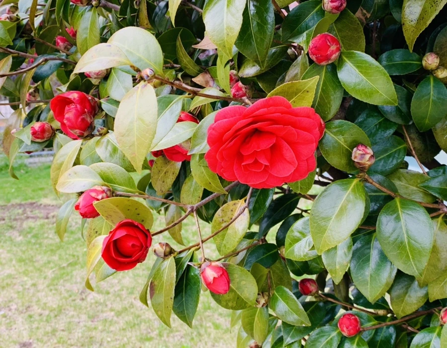 IMG_6784.jpg?type=w966