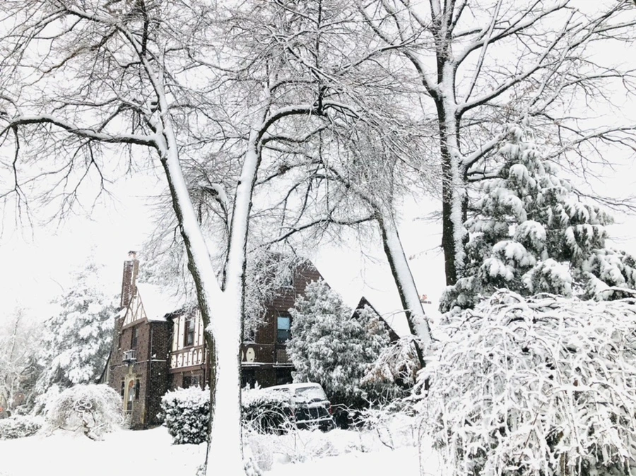 IMG_1007.jpg?type=w966