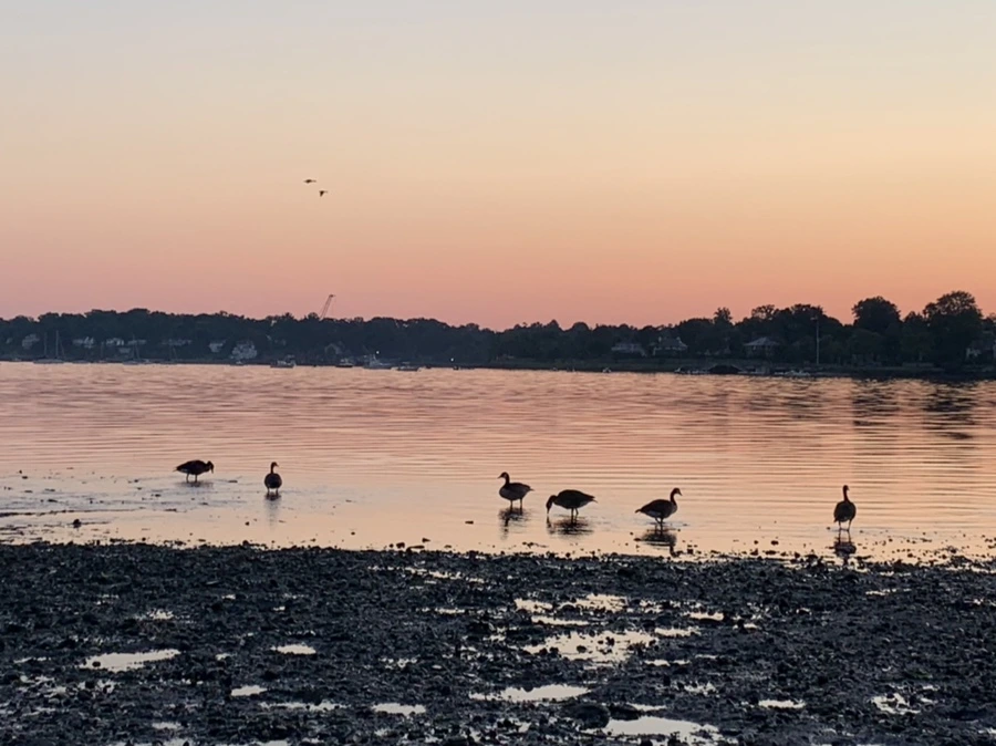 IMG_0082.jpg?type=w966