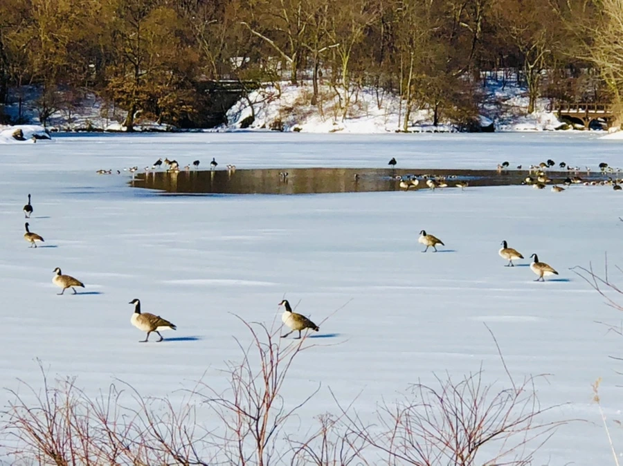 IMG_9886.jpg?type=w966